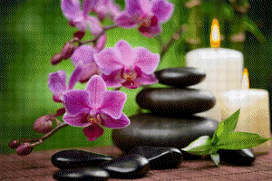 spa - предпросмотр