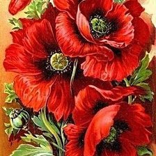 Схема вышивки «Маков цвет»