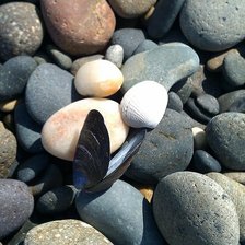 Схема вышивки «Морская композиция»