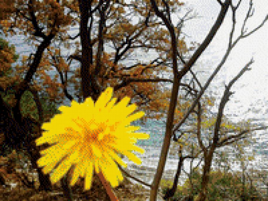 одуванчик - осень - предпросмотр