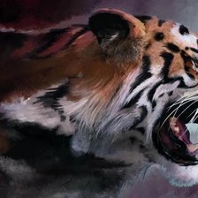 Схема вышивки «Тигрушка»