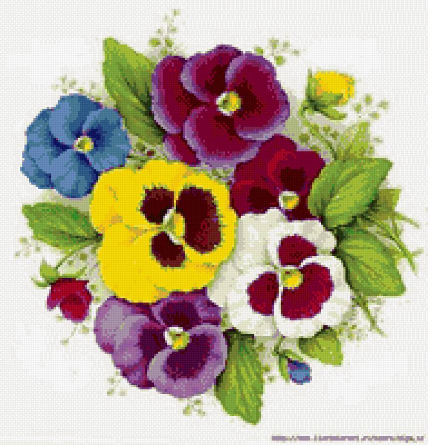 анютени глазки - букет, анютены глазки, цветы - предпросмотр