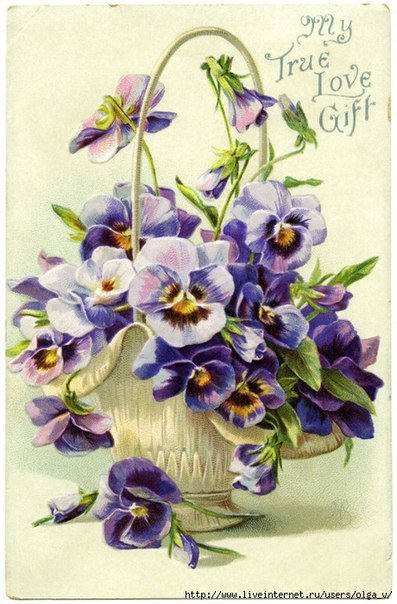 анютени глазки - анютены глазки, цветы, букет - оригинал