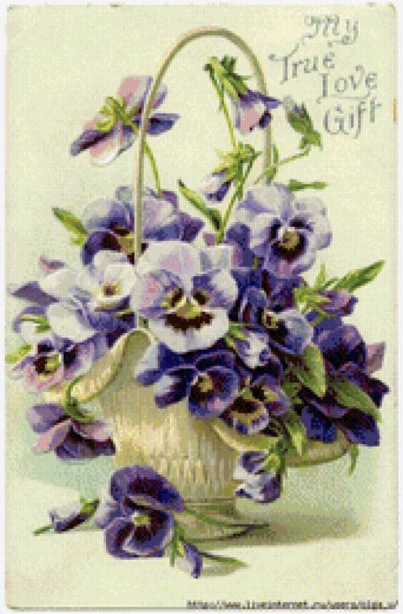 анютени глазки - букет, цветы, анютены глазки - предпросмотр