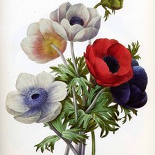 Схема вышивки «№648685»