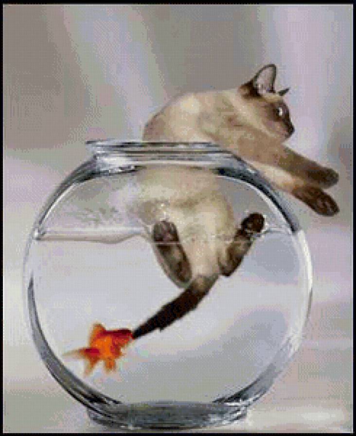 вот ты и попался - котики, рыбы, аквариум - предпросмотр