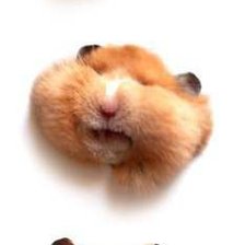 Схема вышивки «№648704»