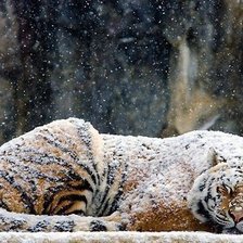 Схема вышивки «№648714»