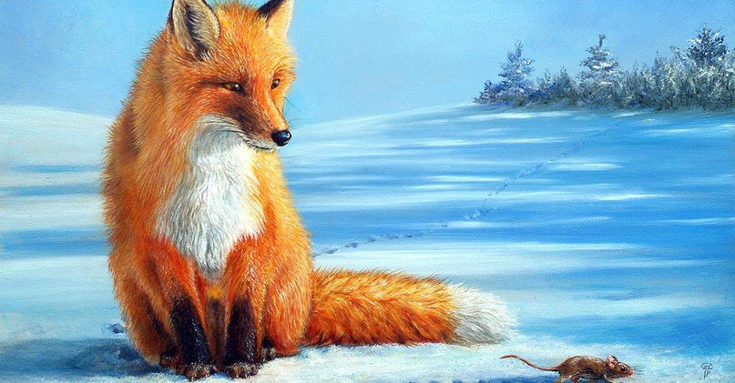 №648723 - мышь, снег, охота, лиса - оригинал