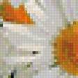 Предпросмотр схемы вышивки «ромашки» (№648725)
