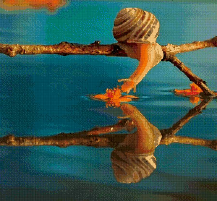 №648742 - улитка, вода, отражение - предпросмотр