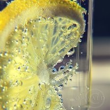 Схема вышивки «№648751»