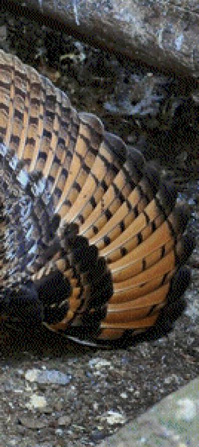 Триптих сова левая часть - птица - предпросмотр