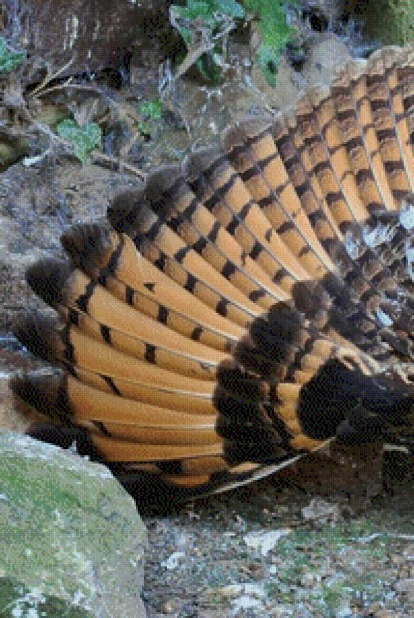 Триптих сова правая часть - птица - предпросмотр