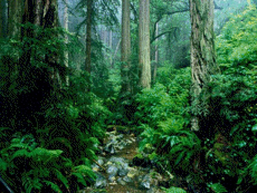 В лесной чаще - природа, ручей, лес, деревья - предпросмотр