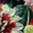 Предпросмотр схемы вышивки «георгины» (№648936)