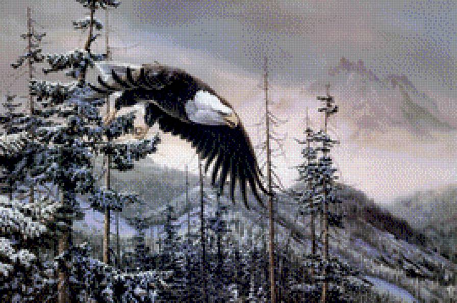 Walden-Orzel - natura, orly, przyroda - предпросмотр