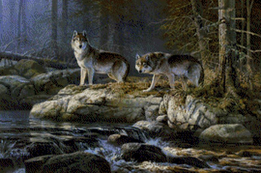 Don Kloetzke-Wilki - pejzaz, natura, wilki - предпросмотр