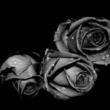 Схема вышивки «розы»