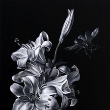 Схема вышивки «лилия»