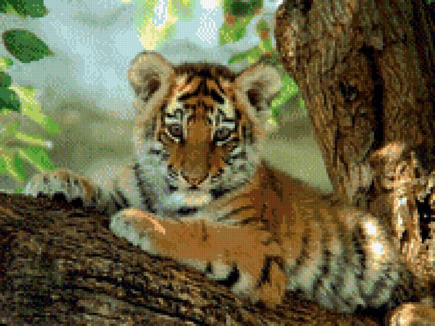 тигренок - предпросмотр