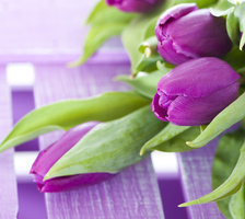 Схема вышивки «тюльпаны 2»