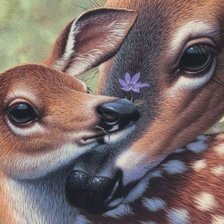 Схема вышивки «Косули»