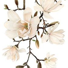 Схема вышивки «6»