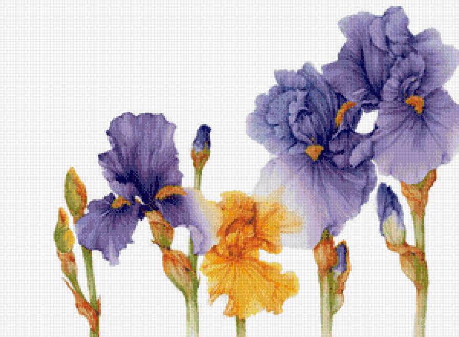 панно с ирисами - живопись, цветы, ирисы, панно - предпросмотр
