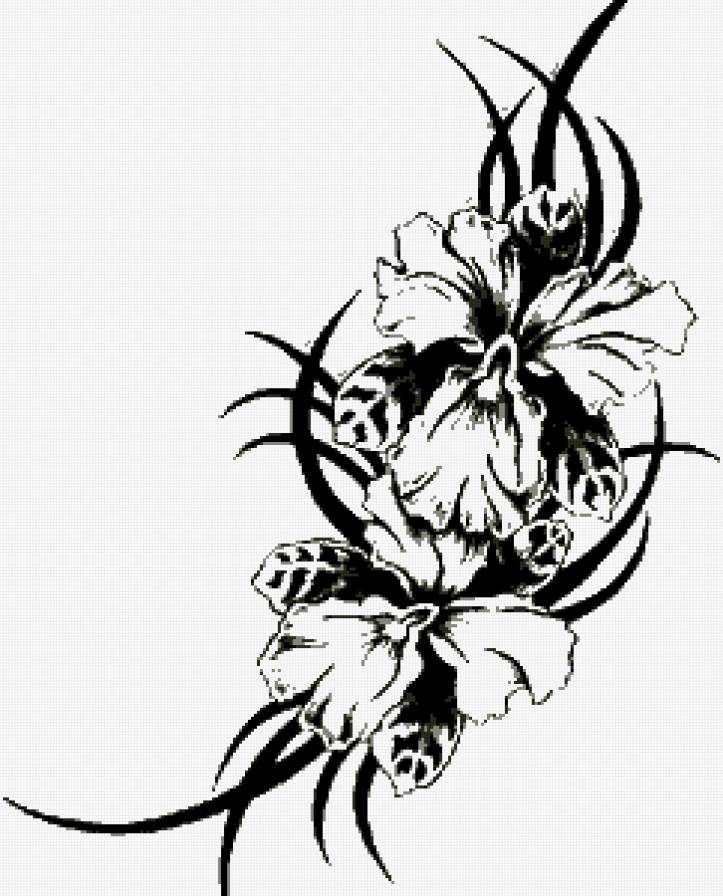 орхидея 2 - орхидея, цветы, монохром - предпросмотр