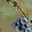 Предпросмотр схемы вышивки «Серия "Живой мир": Птица в винограднике» (№649795)