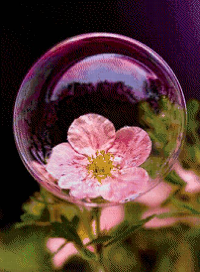 мыльный пузырь на цветке - пузырь, цветок, шар - предпросмотр