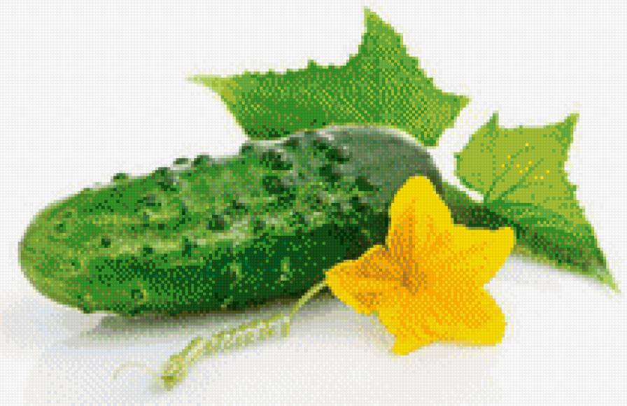 огурец - еда, овощи, огурец - предпросмотр