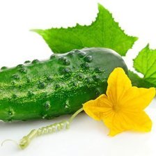 Схема вышивки «огурец»