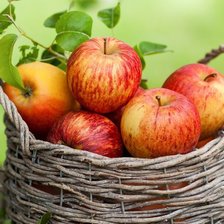 Схема вышивки «яблоки в корзине»