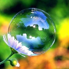 Схема вышивки «мыльный пузырь на цветке»