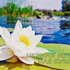 Схема вышивки «лотос»