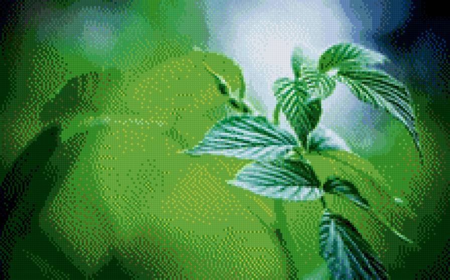 веточка зелени - растение - предпросмотр