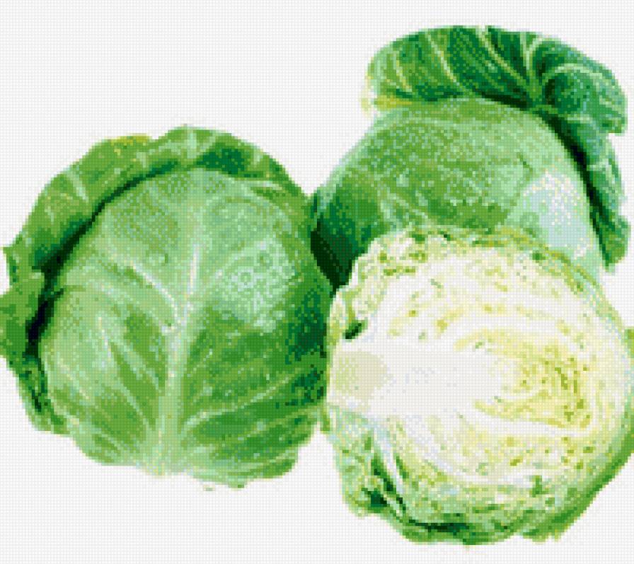 капуста - кухня, овощь, капуста - предпросмотр