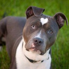 Схема вышивки «Всем любви!»