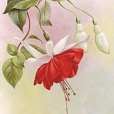 Схема вышивки «№650503»