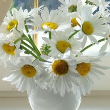 Схема вышивки «ромашки в вазе»