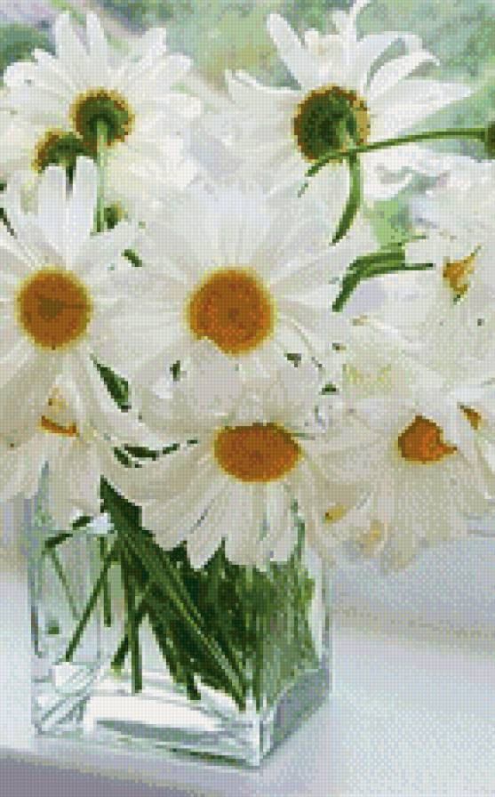 ромашки в вазе - ромашки, цветы - предпросмотр