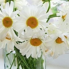 Схема вышивки «ромашки в вазе»