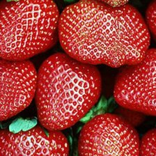 Схема вышивки «клубника»