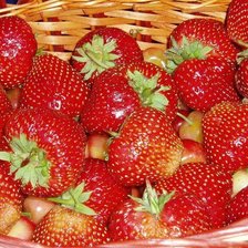 Схема вышивки «клубника в корзине»