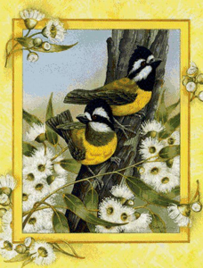 птицы - мир животных - предпросмотр