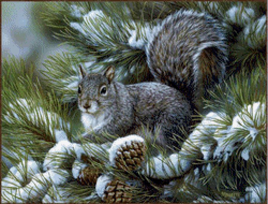 белочка - предпросмотр