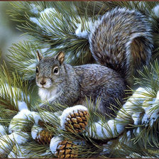 Схема вышивки «белочка»