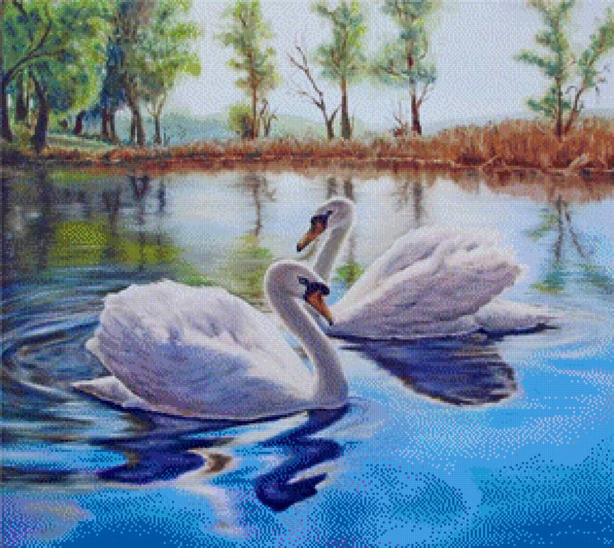 лебеди в пруду - птицы - предпросмотр